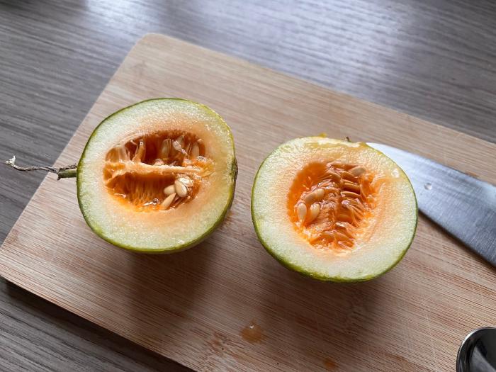 food/A melon I grew (smol).jpg